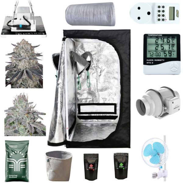 Beginner 4-Plant Indoor Grow System