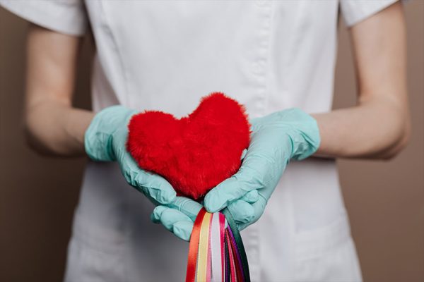The benefits of CBD for the heart and circulatory system