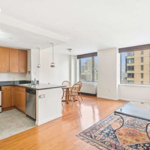 455 MAIN Street #15G, Manhattan, NY 10044 – RLS20003482 - Anthony J...
